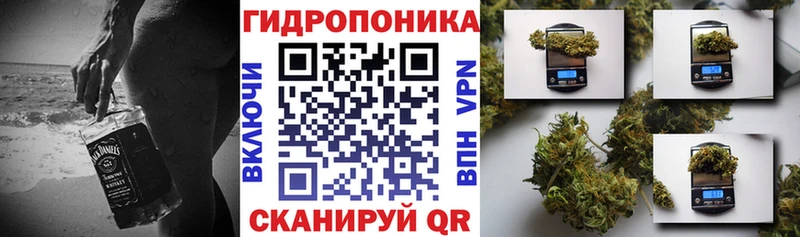 Где купить Лермонтов КОКАИН  МАРИХУАНА  OMG ONION  БУТИРАТ  Меф  ГАШ  СОЛЬ 